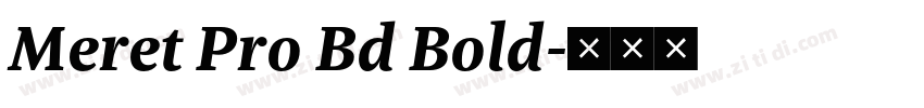 Meret Pro Bd Bold字体转换